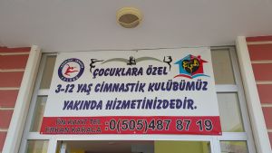 BAlikeSİR