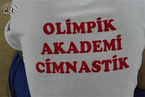 Cimnastik Alt Yapı Grupları